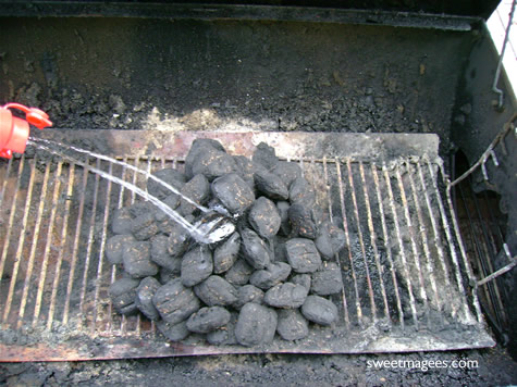 cover in lighter fluid